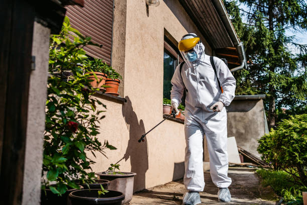 Best Emergency Pest Control  in Belle Glade, FL